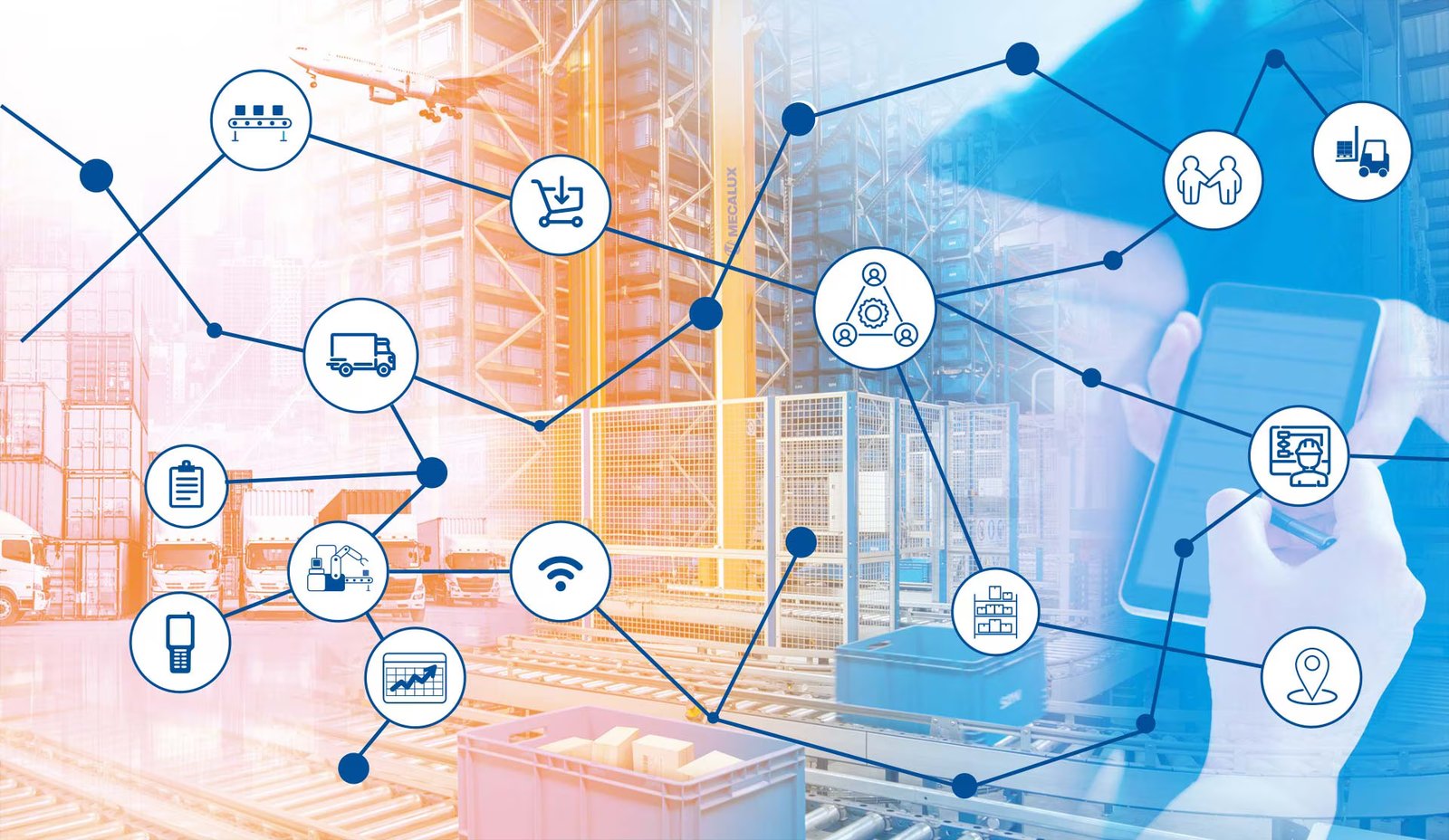 Servicios logísticos especializados